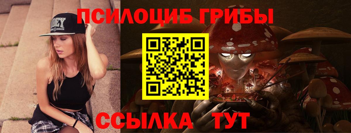 Псилоцибиновые грибы мицелий Трёхгорный